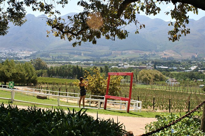 Franschhoek Sip & Cycle Experience Full Day - Private Tour - Pickup Logistics and Options