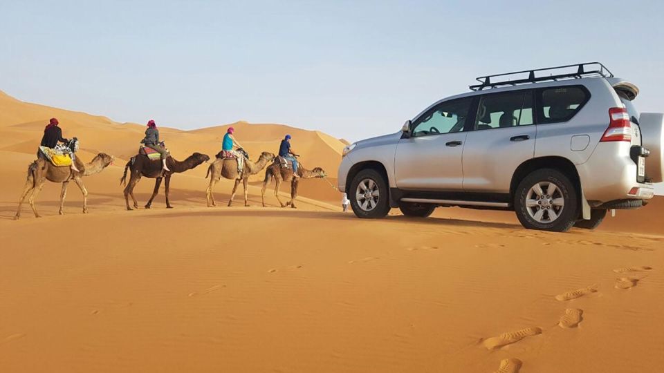 From Agadir: 44 Jeep Sahara Desert Tour With Lunch - Transportation and Value