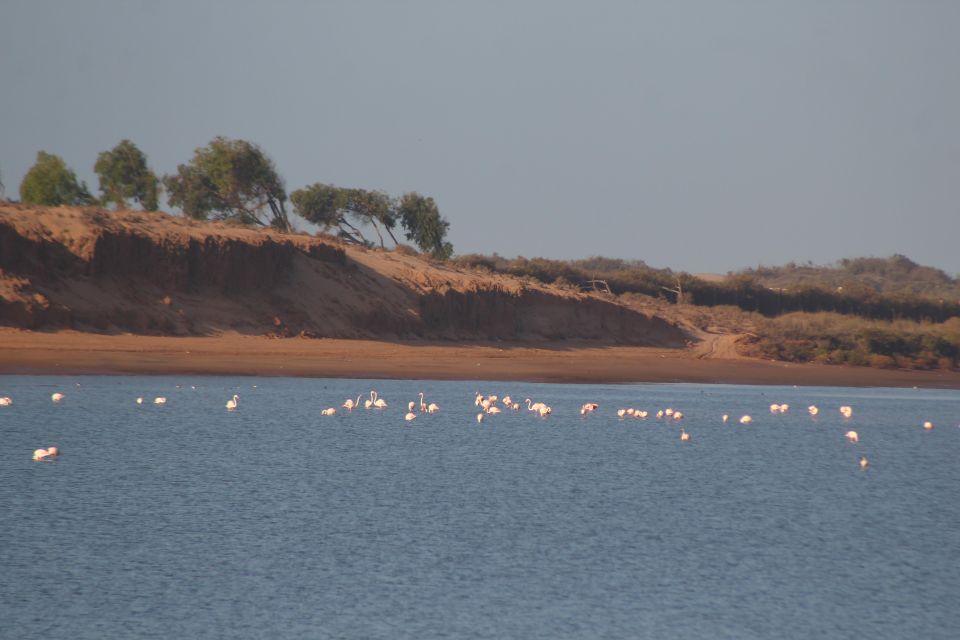 From Agadir : 4x4 Jeep Sahara Desert Tour With Lunch - Experience Highlights