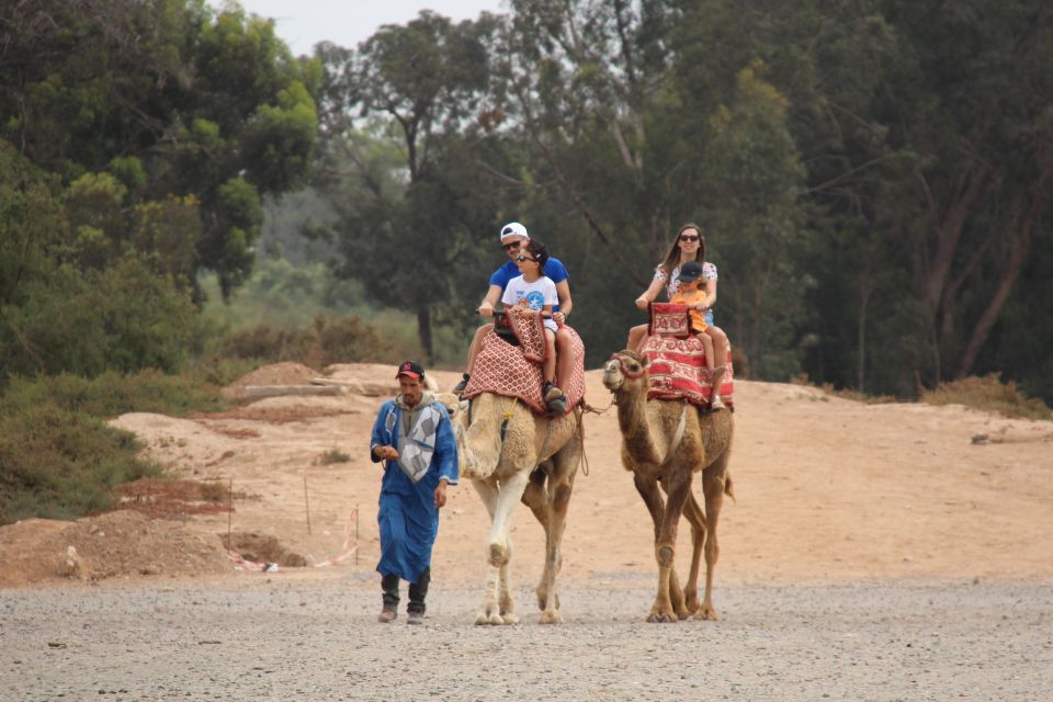 From Agadir : Camel Excursion and Luxurious Hammam & Massage - Experience Highlights