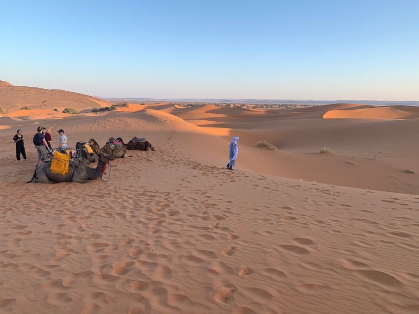 From Agadir: Jeep Desert Safari With Lunch and Camel Ride - Experience Highlights