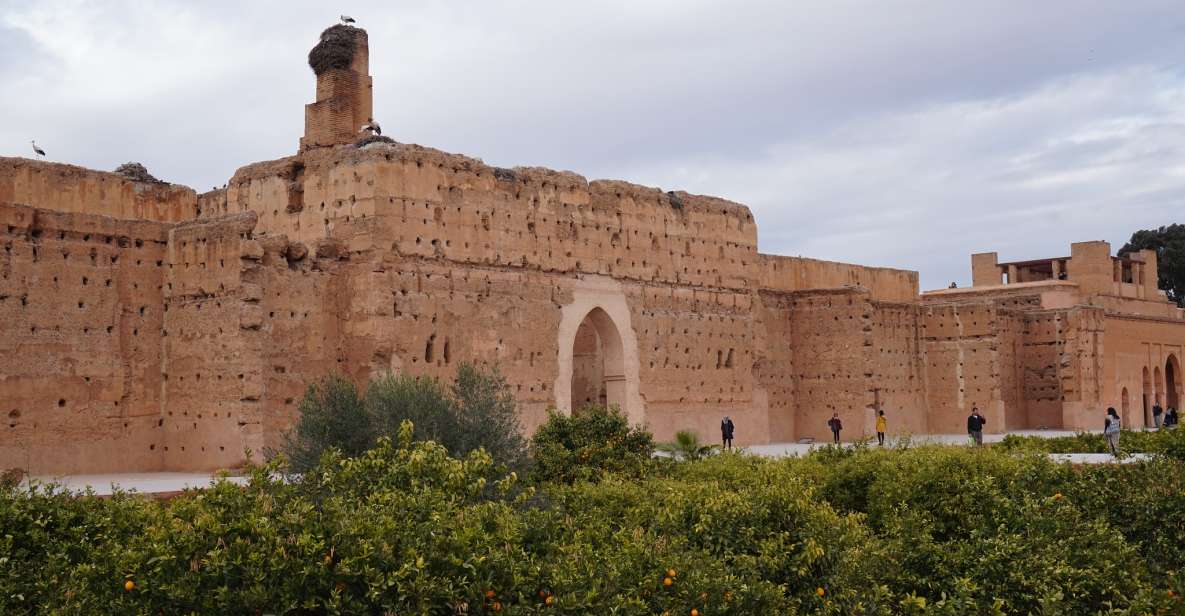 From Agadir: Marrakech Guided Trip With Licensed Tour Guide - Experience Highlights