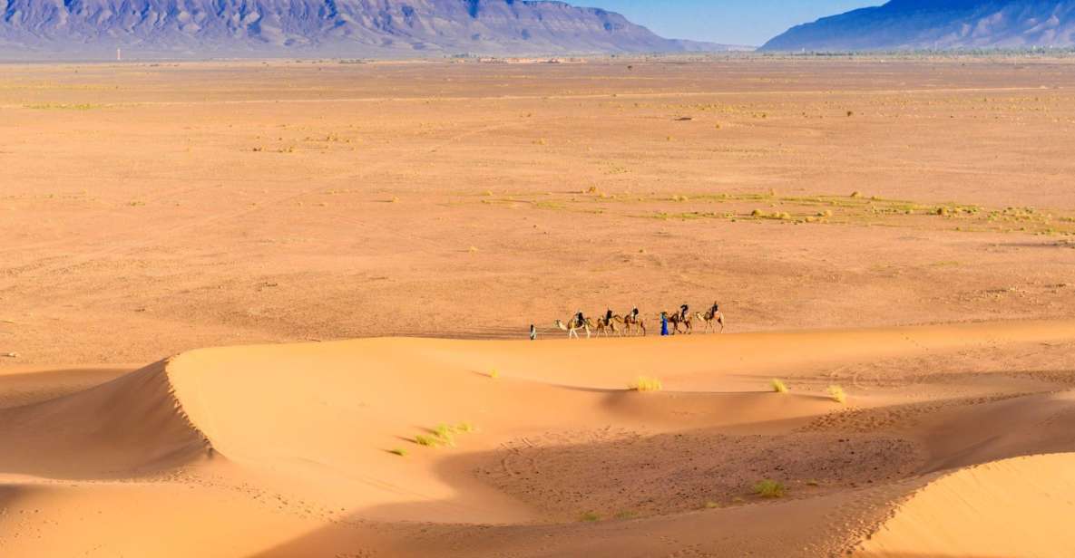 From Agadir or Taghazout: 2-Day Sahara Desert Tour to Zagora - Experience Highlights
