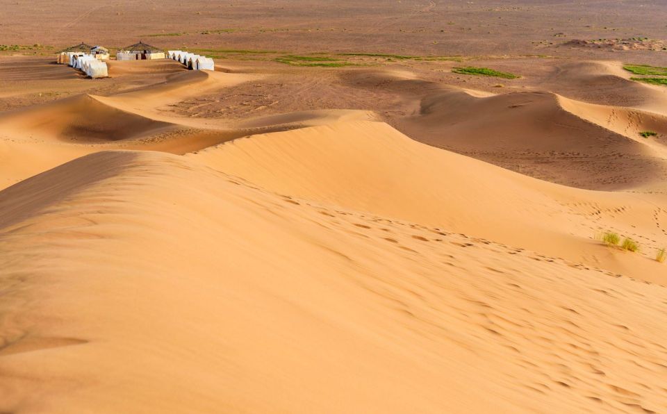 From Agadir or Taghazout: 2-Day Sahara Desert Tour to Zagora - Accommodations and Activities