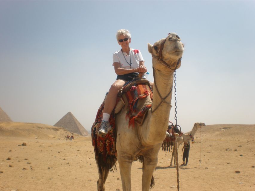 From Agadir or Taghazout: Camel Ride and Flamingo River Tour - Experience Highlights