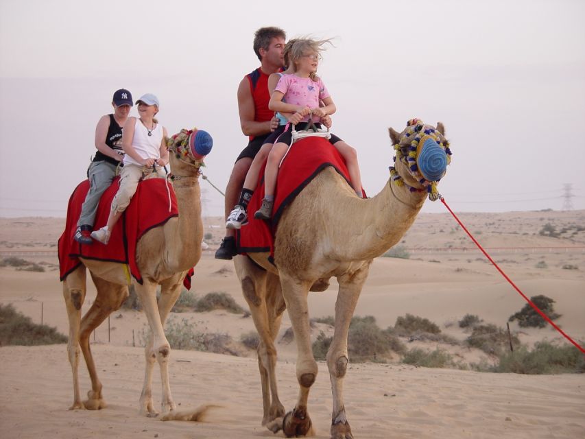 From Agadir or Taghazout: Camel Ride and Flamingo River Tour - Activity Experience