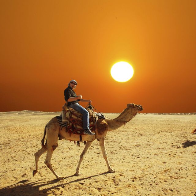 From Agadir or Taghazout: Camel Ride and Flamingo River Tour - Experience Highlights