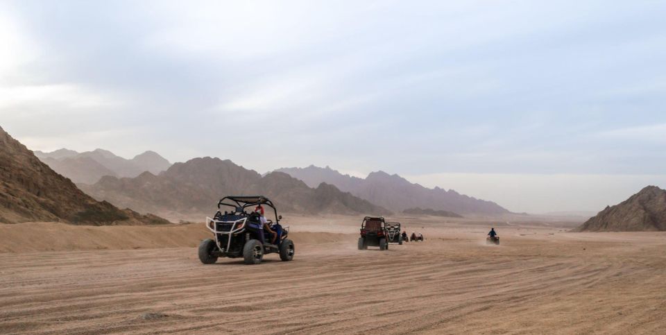 From Agadir or Taghazout: Dune Buggy Tour - Experience Highlights