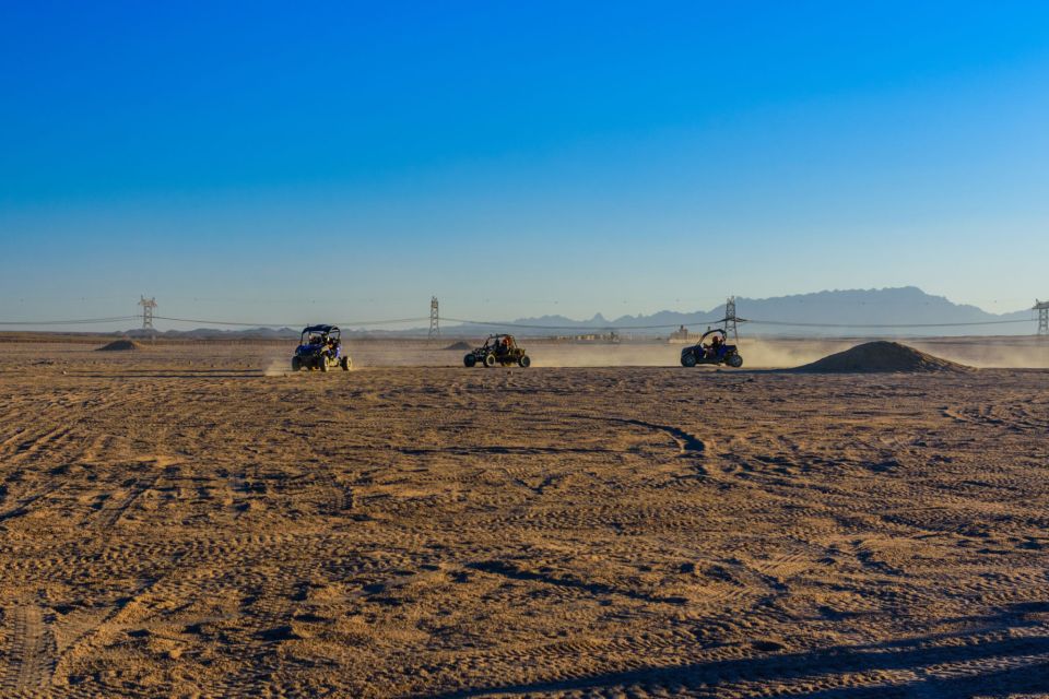 From Agadir or Taghazout: Dune Buggy Tour - Experience Highlights of the Tour