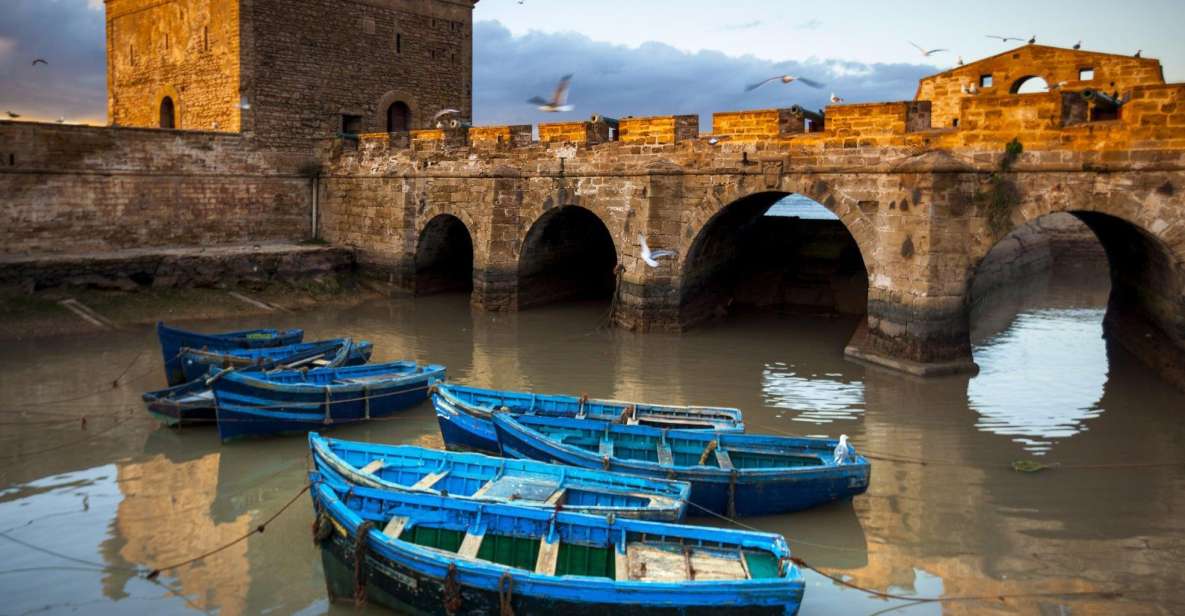 From Agadir or Taghazout: Essaouira Day Trip With Transfer - Experience Highlights