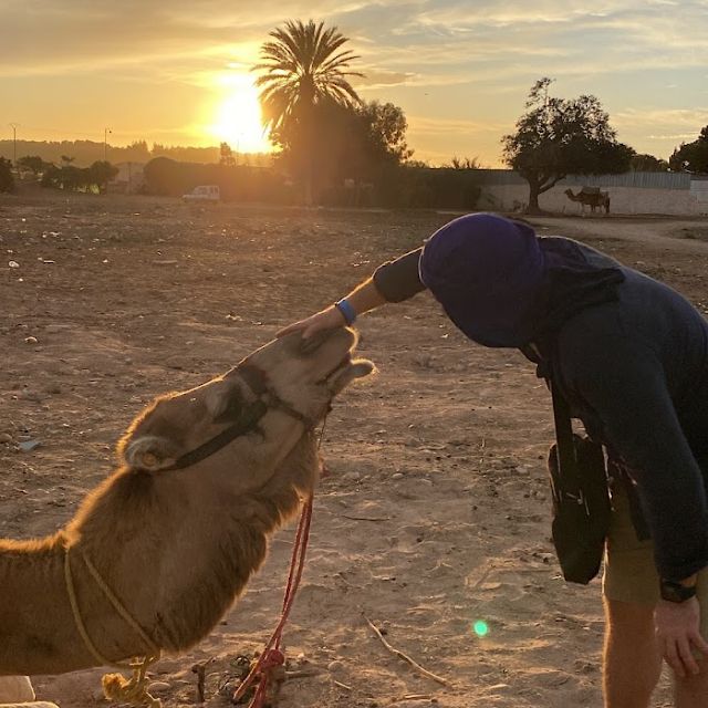 From Agadir or Taghazout: Flamingo River Camel Ride & Tea - Pickup Service Information