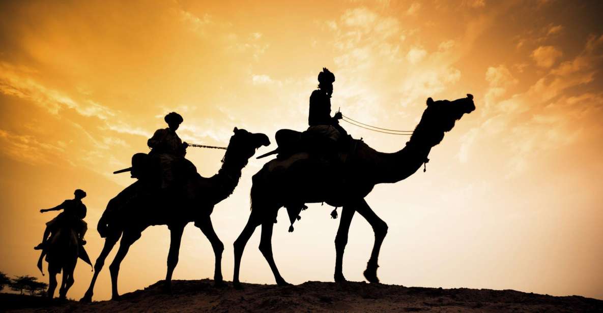 From Agadir or Taghazout: Flamingo River Camel Ride With Tea - Experience Highlights