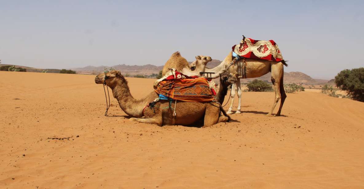 From Agadir: Sahara Desert Day Trip in 44 Jeep - Experience Highlights