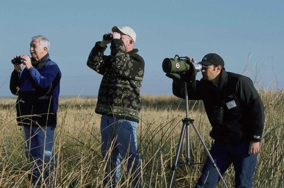 From Agadir: Souss-Massa Park Bird Watching Private Tour - Experience Highlights