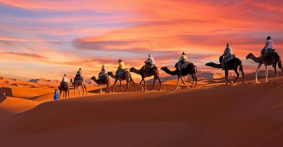 From Agadir/Taghazout: Sahara Sand Dunes With Transfer - Experience Highlights
