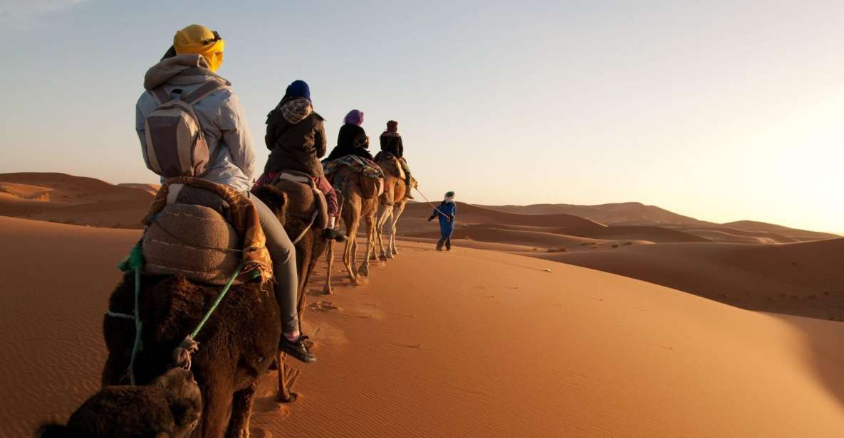 From Agadir/Taghazout: Sahara Sand Dunes With Transfer - Experience Highlights