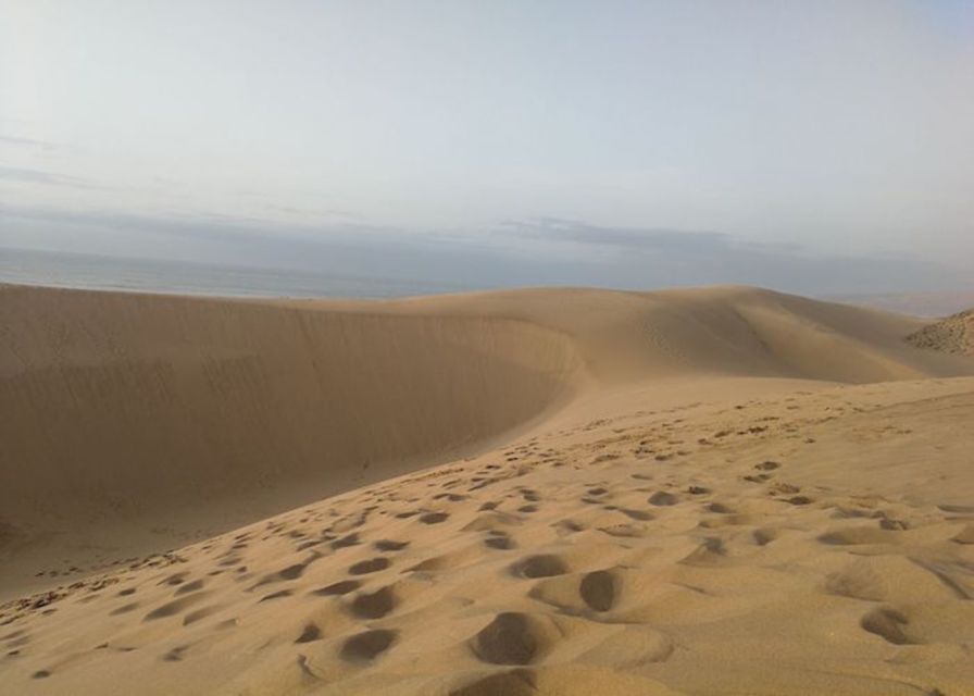 From Agadir/Taghazout: Sahara Sand Dunes With Transfer - Experience Highlights of Sahara Adventure