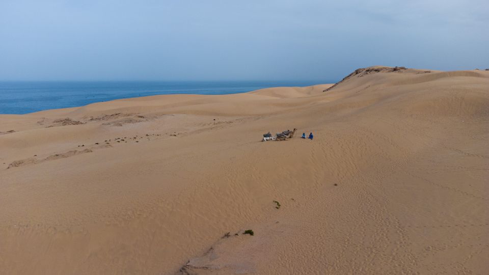 From Agadir/Taghazout: Sahara Sand Dunes With Transfer - Experience Highlights