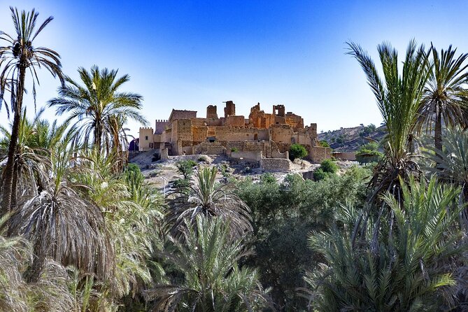 From Agadir & Taghazout: Taroudant & Tiout Day Tour Lunch - Booking Information