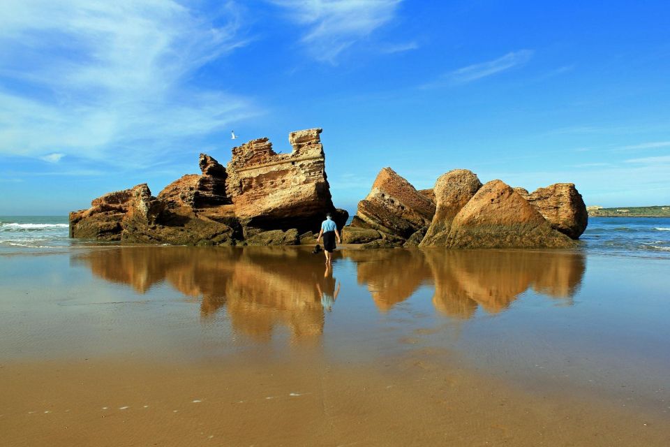 From Agadir to Essaouira : Coastal Day Tour With Guide - Experience Highlights