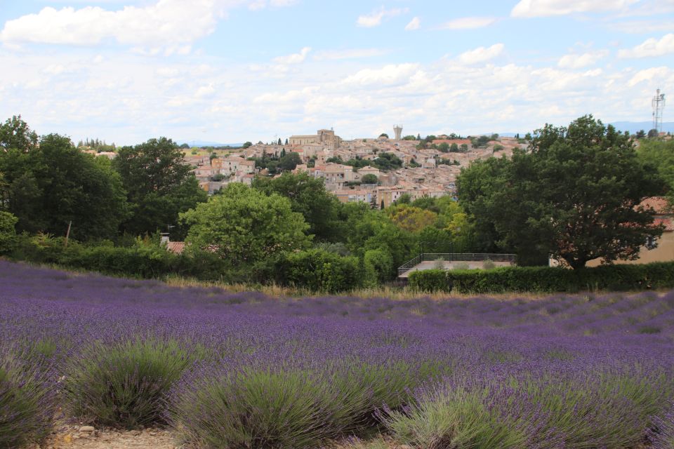 From Aix-En-Provence: Lavender Experience & Gorges Du Verdon - Gorges Du Verdon Scenic Beauty