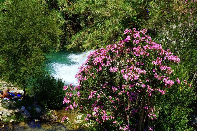 From Albir & Benidorm: Algar Waterfalls Excursion - Waterfall Visitation Guidelines