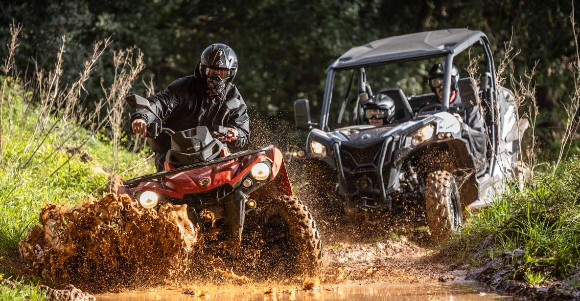 From Almancil: Quad Tour in Algarve Countryside - Experience Highlights