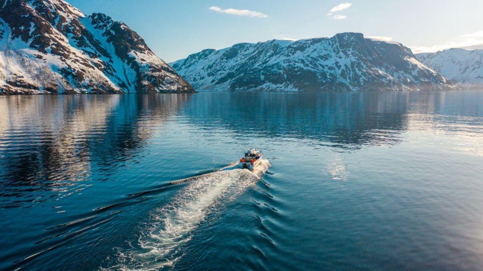 From Alta: Adventure Cruise in Alta Fjord - Experience Highlights