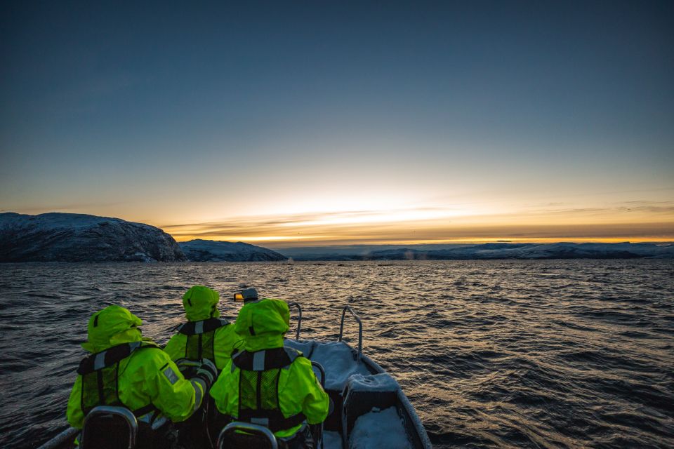 From Alta: Fjord & Whale Adventure - Experience Details
