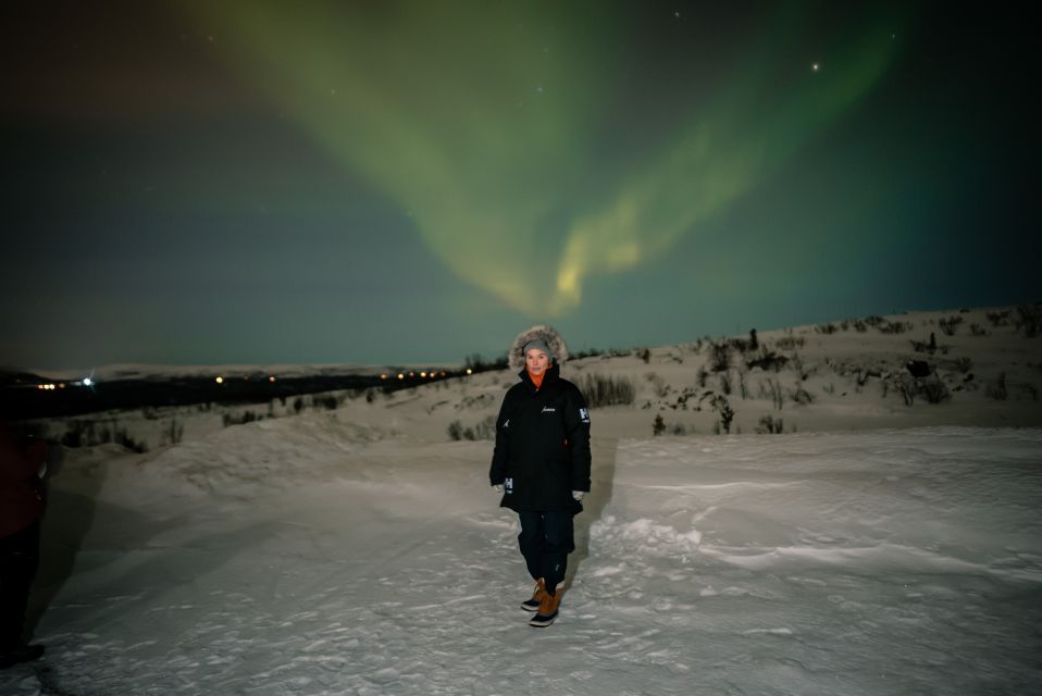 From Alta: in Search of the Northern Lights - Unforgettable Night Sky Adventure