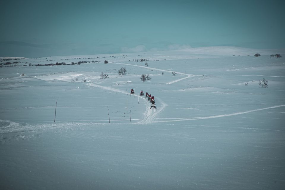 From Alta: Snowmobile Morning Adventure - Location and Transportation