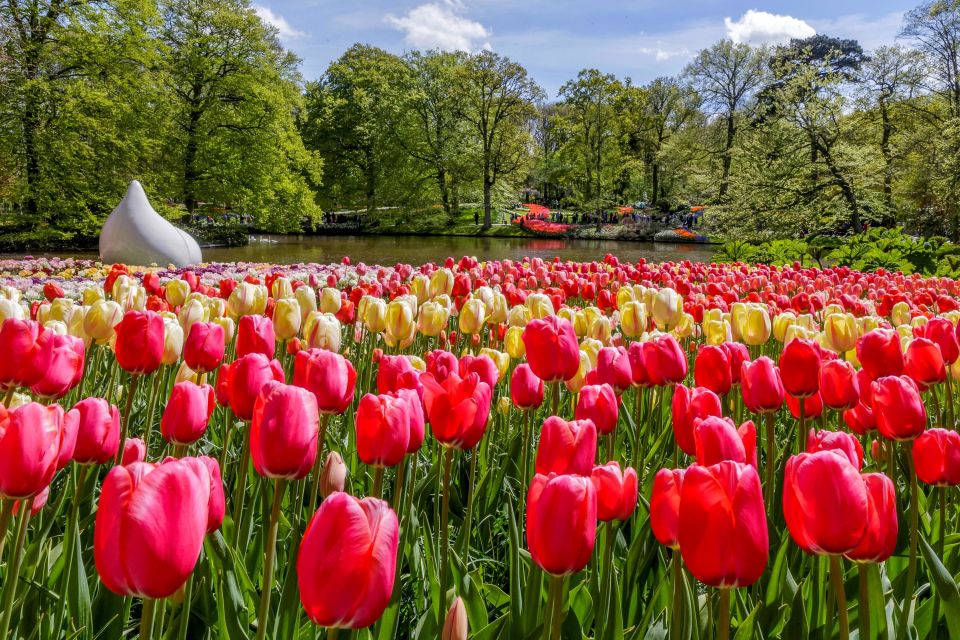 From Amsterdam: Keukenhof and Dutch Countryside Tour - Tour Highlights