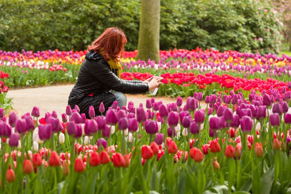 From Amsterdam: Keukenhof Flower Park Transfer With Ticket - Experience Highlights