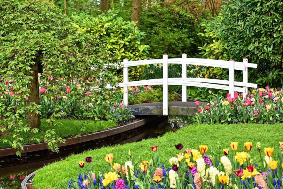 From Amsterdam: Private Keukenhof and Tulip Experience Tour - Keukenhof Flower Park