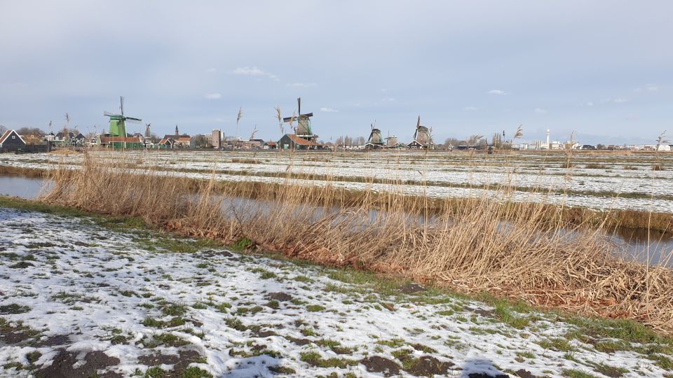 From Amsterdam: Small Group Zaanse Schans and Volendam Tour - Tour Experience