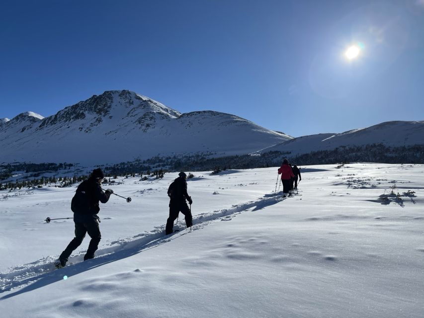 From Anchorage: Glen Alps Beginner's Snowshoeing Adventure - Full Description