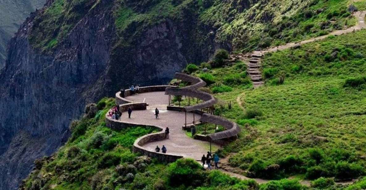 From Arequipa: 2-Day Colca Canyon Tour With Transfer to Puno - Inclusions and Booking Process