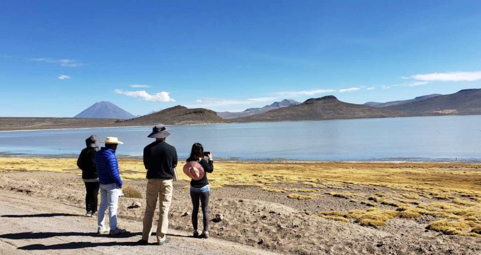 From Arequipa Full Day Salinas Lagoon Excursion - Experience Highlights at Salinas Lagoon