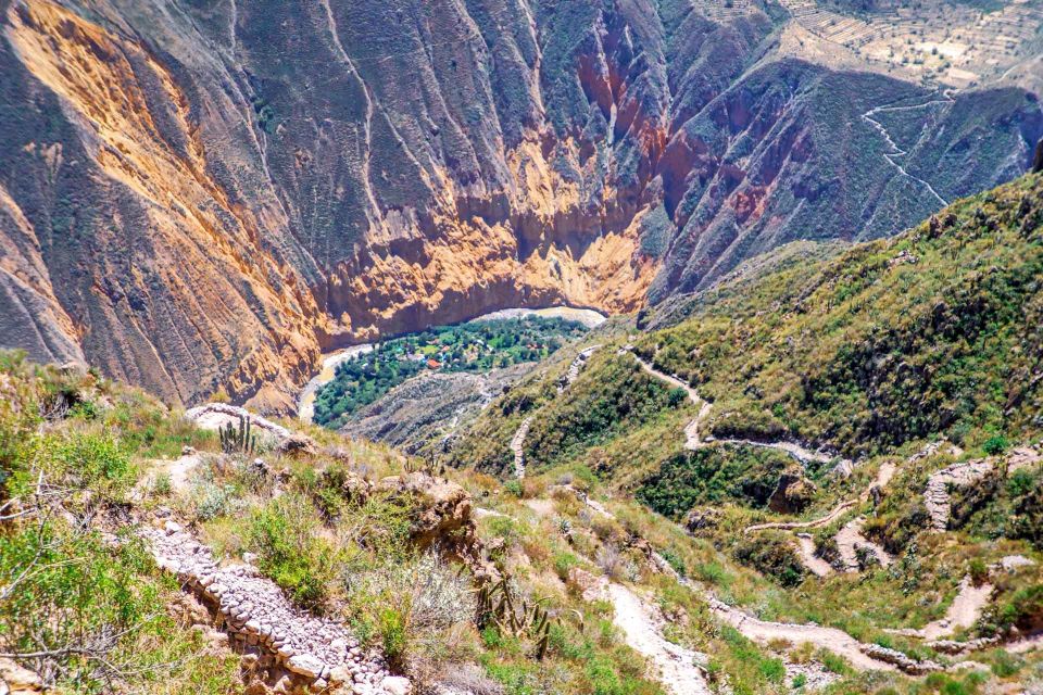 From Arequipa: Trekking to the Colca Canyon 2Days-1Night - Experience Highlights