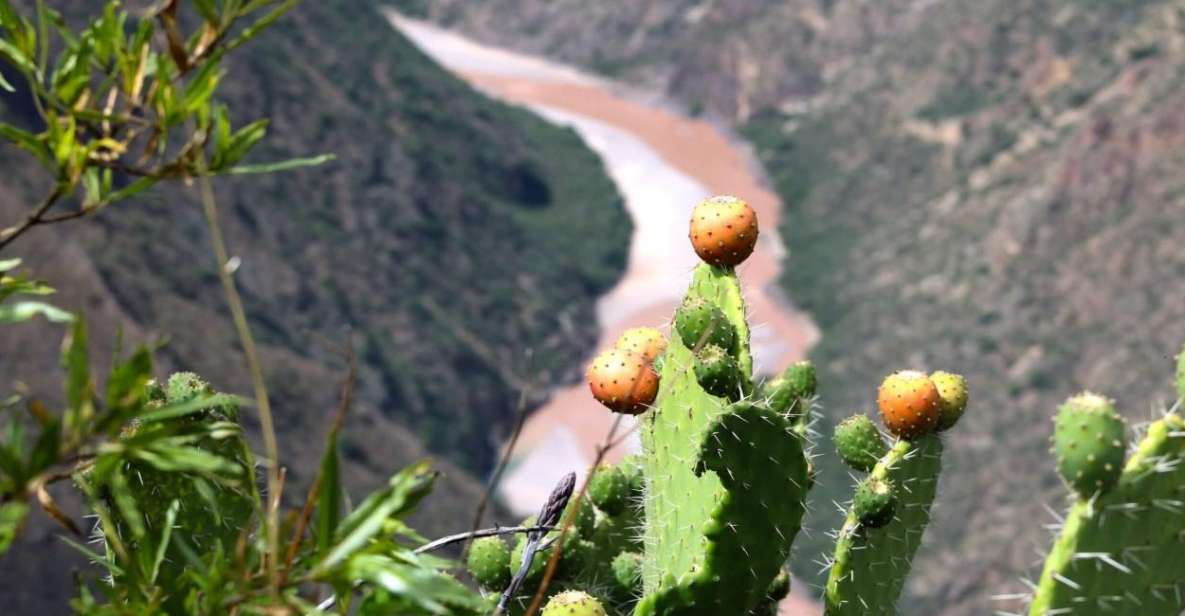 From Ayacucho: Huatuscalla Huanta - Full Day - Tour Details