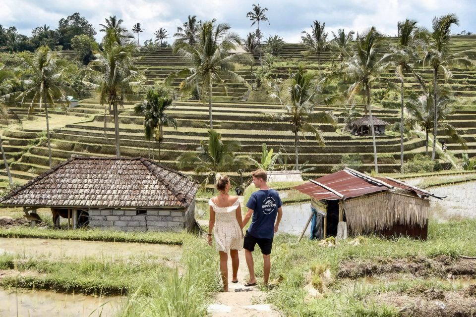 From Bali : Spectacular Waterfall of North Bali - Exploring Jatiluwih Rice Terrace