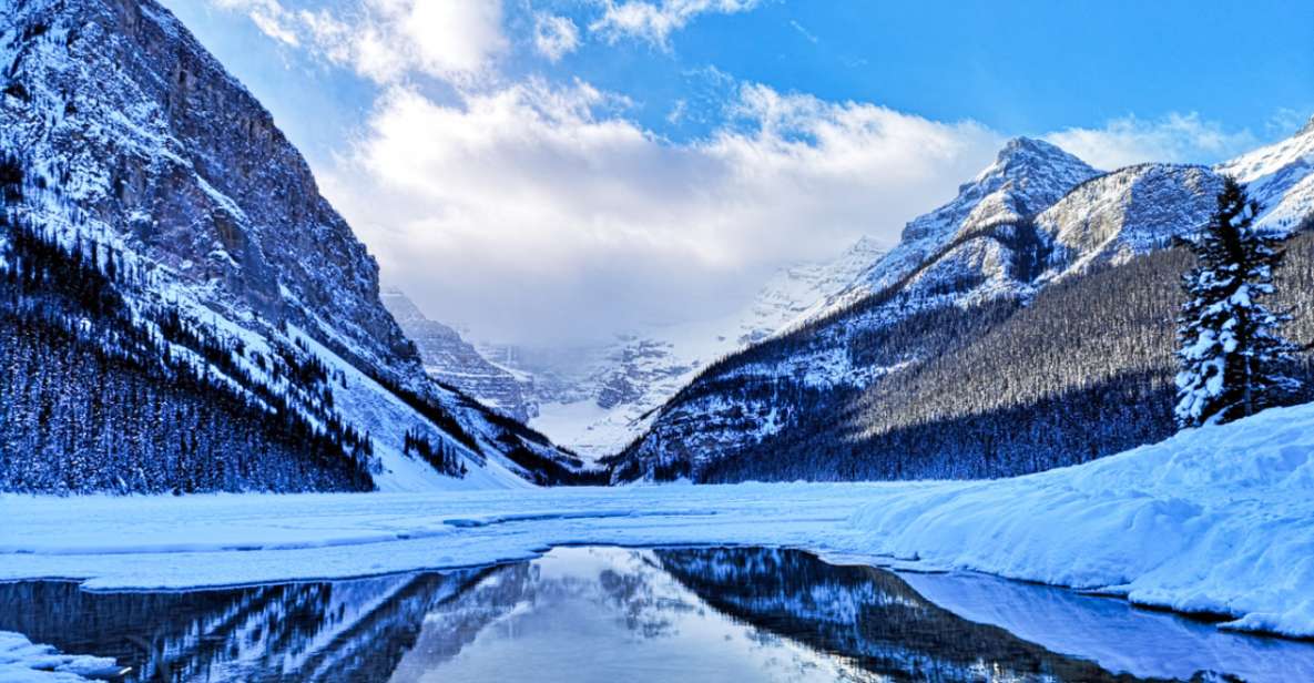 From Banff & Canmore: Lake Louise Winter Experience - Activity Highlights