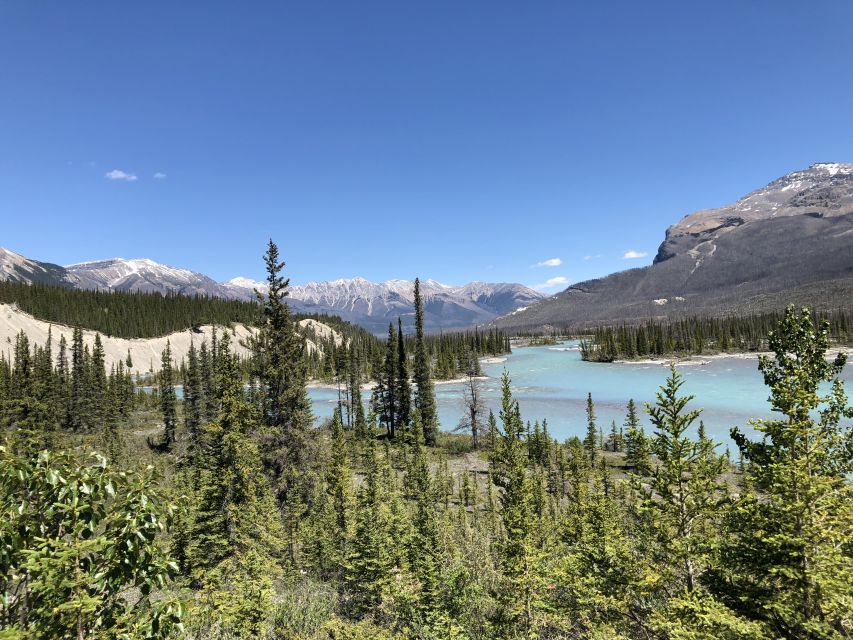 From Banff: Icefield Parkway Scenic Tour With Park Entry - Tour Description