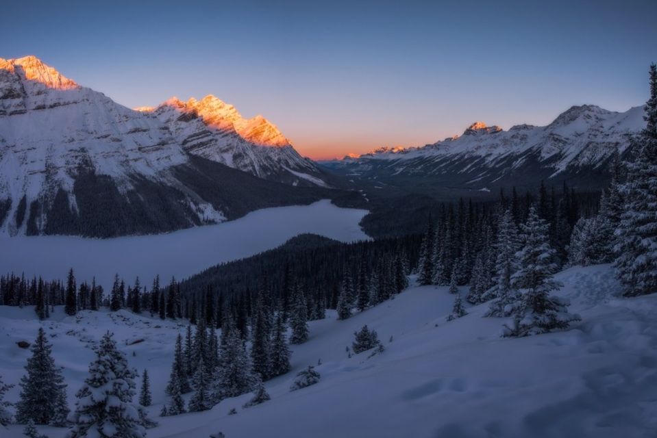 From Banff: Icefields Parkway & Abraham Lake Ice Bubbles - Activities and Highlights