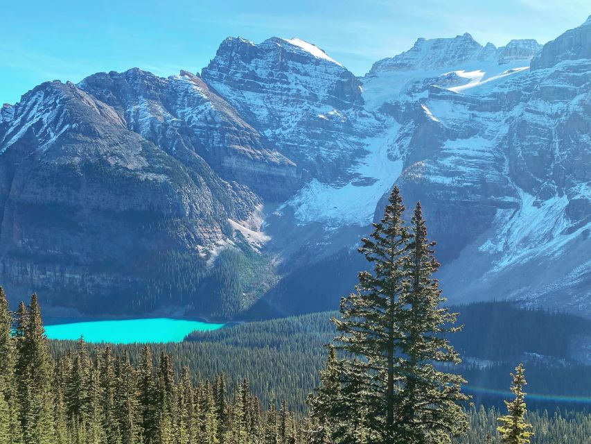 From Banff or Lake Louise: Moraine Lake & Larch Valley Hike - Logistics Details