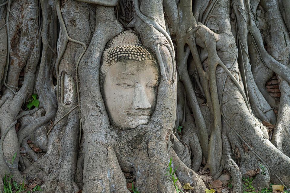 From Bangkok: Ayutthaya Day Tour Small Group - Cancellation Policy Details