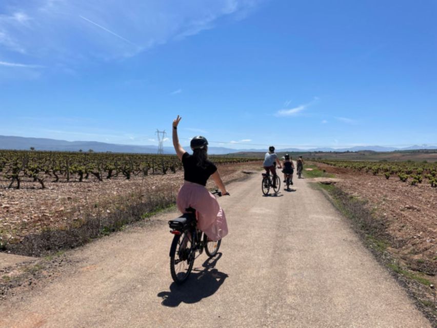 From Bilbao: La Rioja Wine Tour by E-Bike With Wine Tastings - Experience Highlights