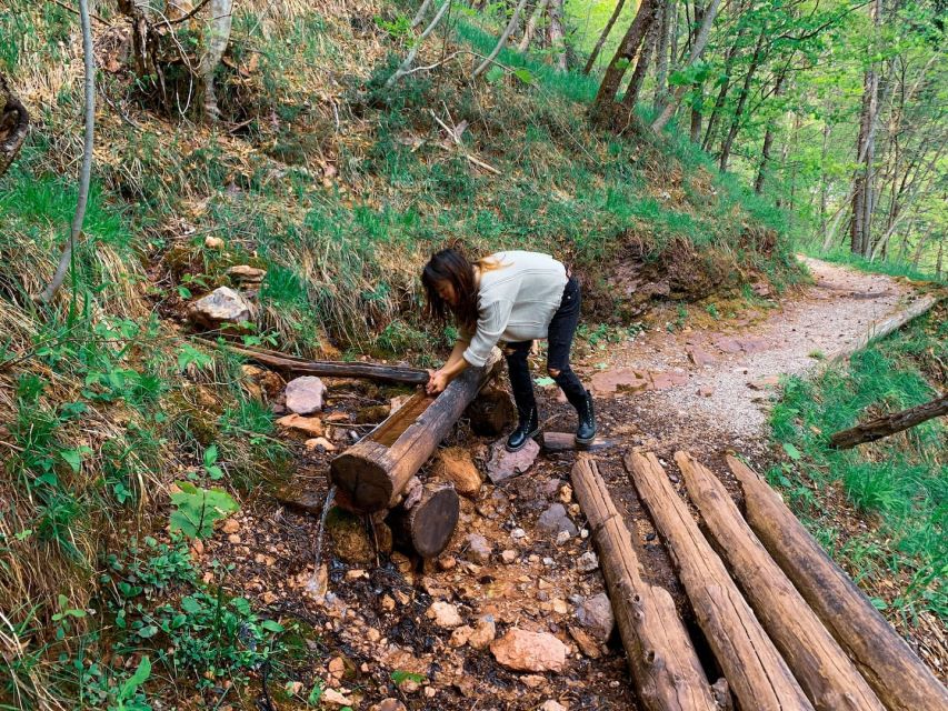 From Bled: Half-Day Crystal River Hike - Experience Highlights