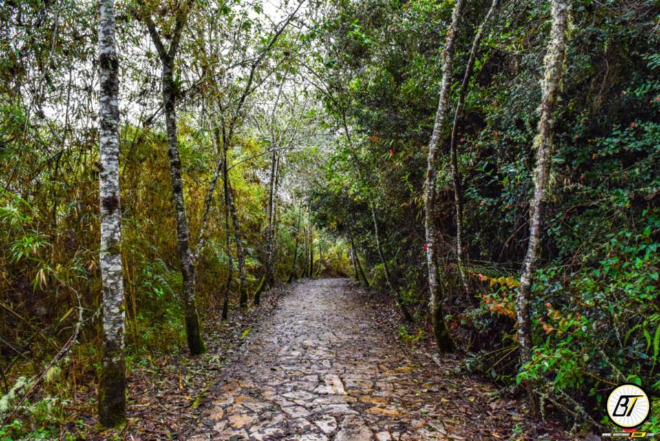 From Bogota: Guatavita Lake & Zipaquira Salt Cathedral Tour - Experience Highlights