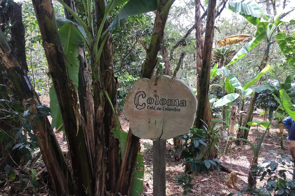 From Bogotá: La Coloma Coffee Farm Day Trip With Lunch - Experience Highlights